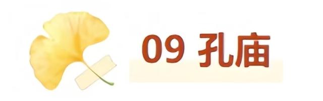 最适合拍银杏的地方！ 临沂十个0元打卡点，抓住今年最后的金色风暴！