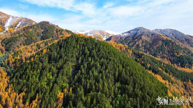 秋韵未歇：张家川山水的立冬回眸