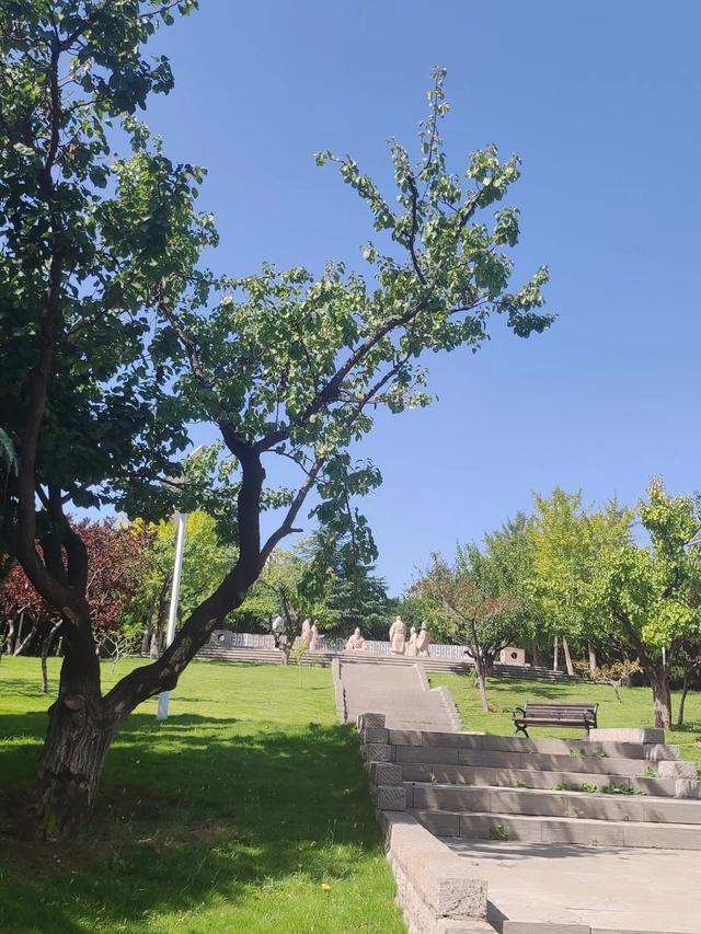 长清湖：泉城水韵与现代文明的和鸣乐章**