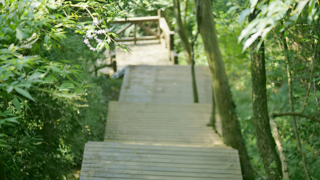 这么静，那么美，周末来洈水必打卡的七件事！