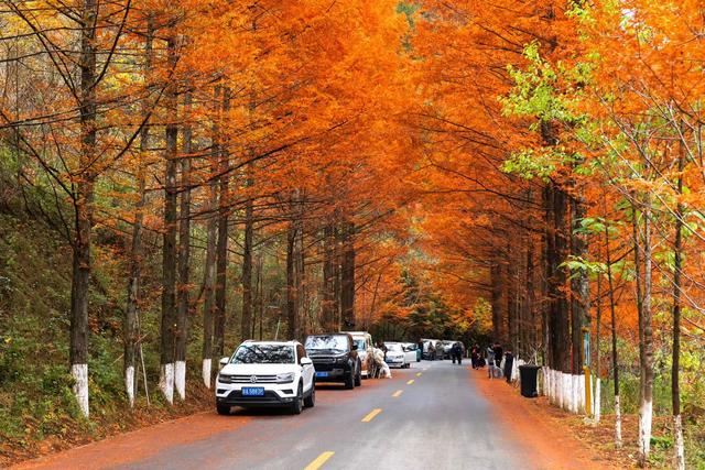 中国最美乡村公路