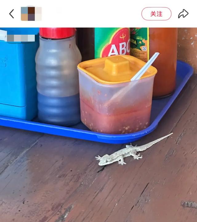 阻止我去巴厘岛旅游的唯一理由：