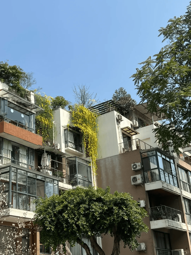 越来越多人在悄悄收购“步梯房”？专家说出大实话，太真实了