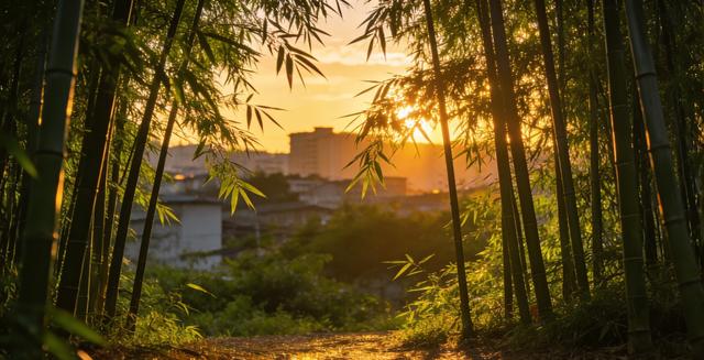 唐河八景寻觅： 古邑风华藏丘壑