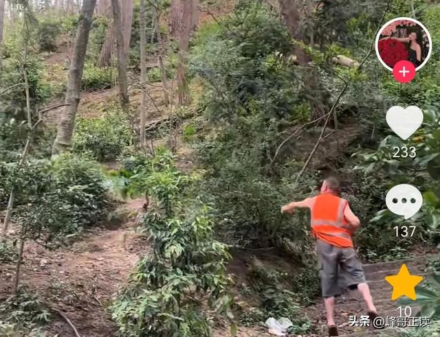 后续！男子大骂景区大爷，身份被扒评论区沦陷，南京文旅意外躺枪