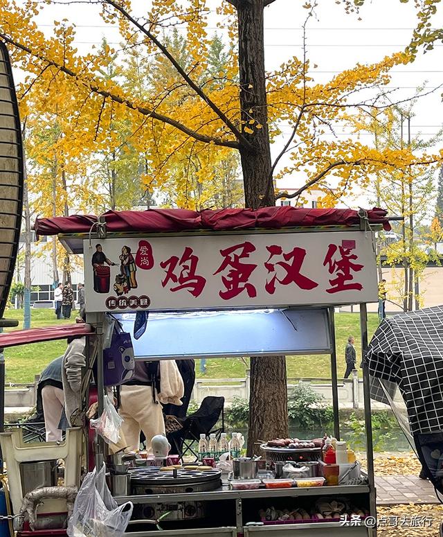 成都2公里长的银杏长廊，超级壮观，美爆了！地铁公交车可达！