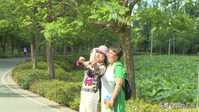 夏日限定美景 来石屏异龙湖畔邂逅一池荷香