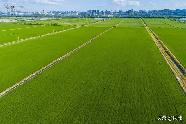 冒着39度高温打卡杭州十五堡，只为这座破烂小楼，你觉得值吗？
