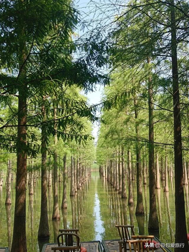 楚汉故里、运河明珠与湿地仙境的完美邂逅——宿迁五日环线漫游