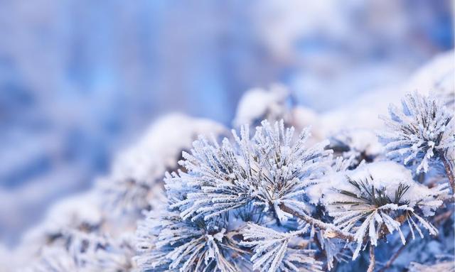 今年立春凌晨4:02，过年前后真会冷到跺脚？老辈人这话信不信由你