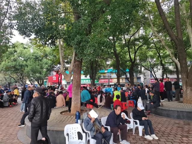 偷得浮生半日游九江