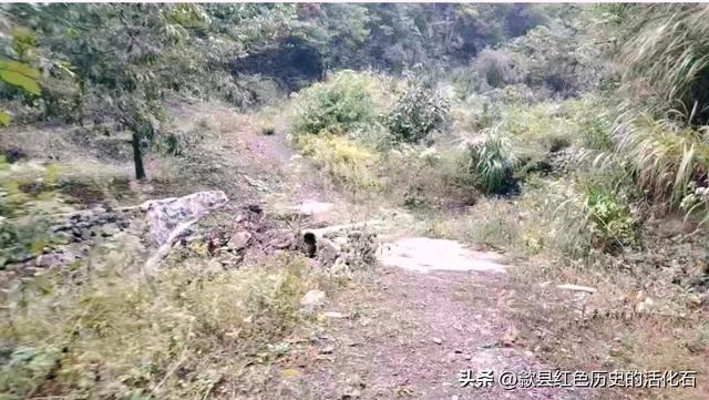 徒步牛栏坪赏高山草甸