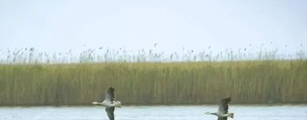 别再只去天津北京了！这座冷门小城，承包了京津冀的烟火与便宜！