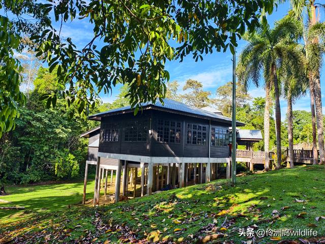 马来西亚(32)砂拉越州⑥世界遗产尼亚洞窟探险