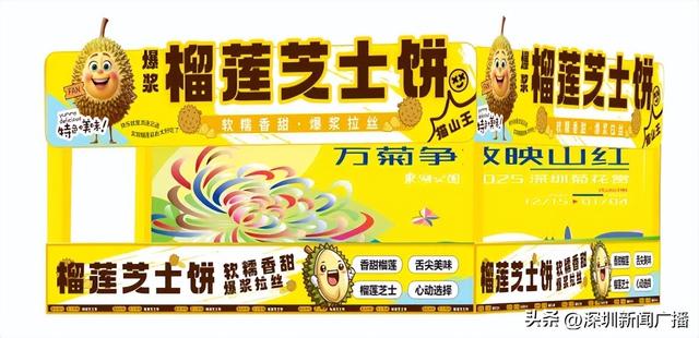 免费开放！持续21天！2025东湖公园菊花赏来啦~