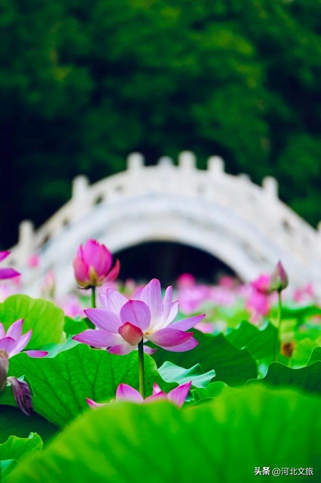 一个城市拥有100家博物馆是什么体验？快来一场酣畅淋漓的博物馆漫游
