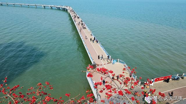 北海最美的环半岛慢行绿道迎来第一春，美爆了！