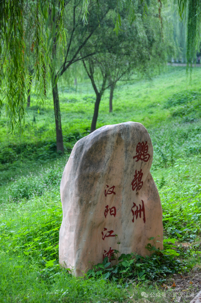 要读懂武汉人的浪漫，就去江滩吧！新上的一批观景座椅太“撩人”啦