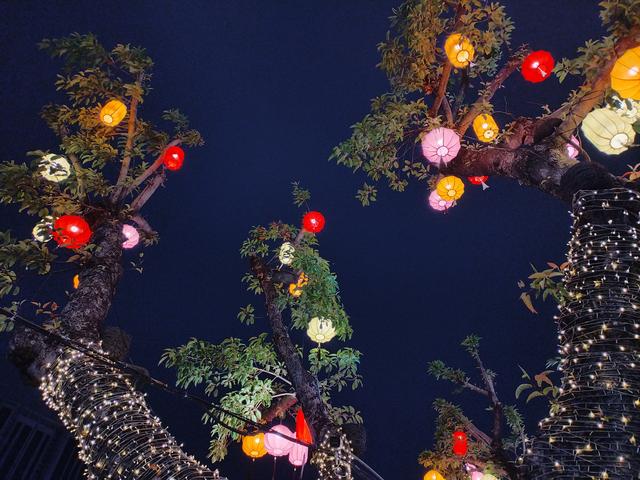 2026广东温暖之旅：佛山祖庙、孙中山故居、孙文西路步行街