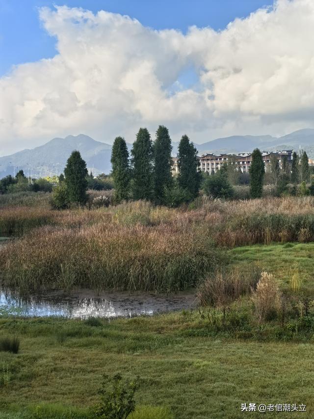 冬天的早上 晒着太阳从大观楼徒步到西山茶马花街 是什么样的感受？
