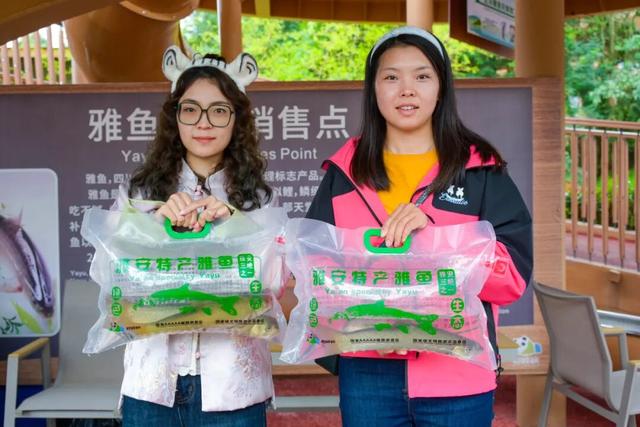 国庆畅游碧峰峡！早鸟优惠限时抢购，攻略+福利一键囤！