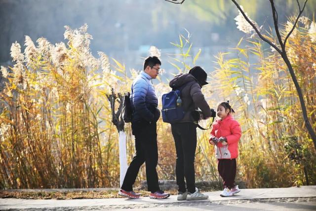 海河岸边、各大公园……天津冬季观鸟地图来了！