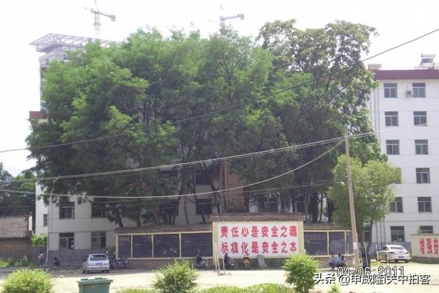 商洛市：寻访四皓墓（商州汉墓群）
