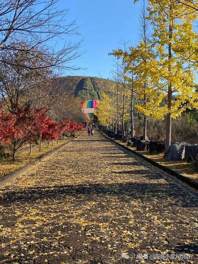 腾冲秘境：火山沉寂，绽放的地质与自然之美