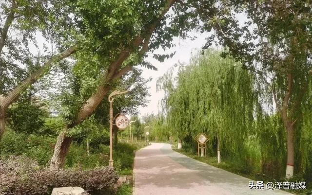 泽普县：以水为脉绘就文旅发展新画卷