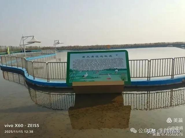 苇风载秋，鹤影映波——河北黄骅南大港湿地的初冬漫游｜ 申艳娟