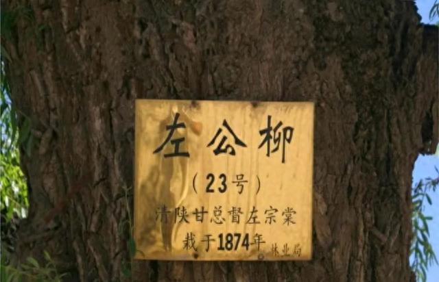 左公宗棠赋