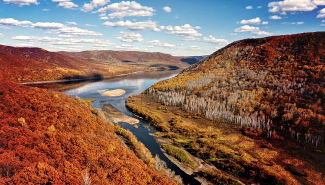 甩开人山人海！这些秋景才是真“顶流”，一眼封神不瞎说！