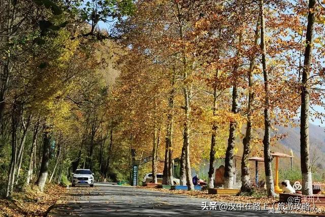 超出片！快来这里捕捉汉中秋色！
