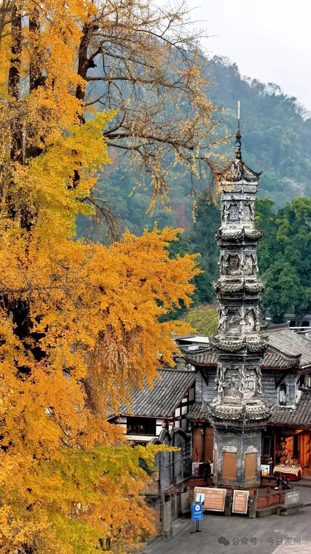 免费又出片！崇州初冬宝藏秘境，美到封神！