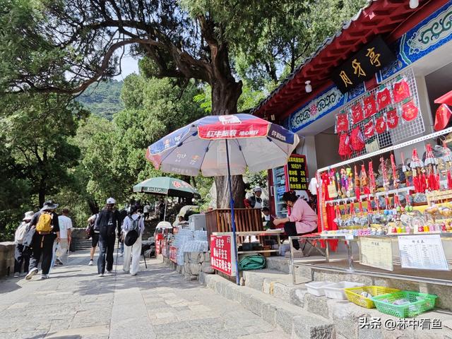徒步登泰山之二——又是3小时，从中天门到南天门，不累！