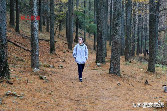 四明山脉的精华，四明山镇，全域皆风景