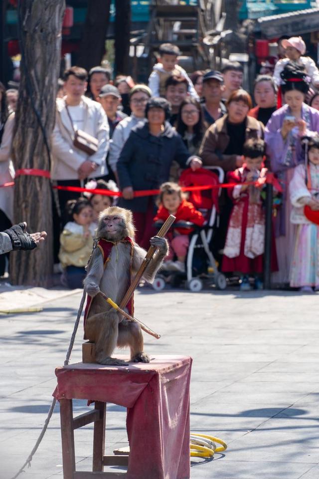 国内多家景区，扎堆宣布免门票，究竟是怎么了？