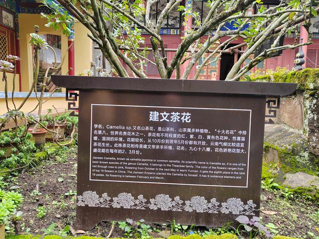 曲靖楚雄纪行之八：狮山古联，道尽帝王身世浮沉