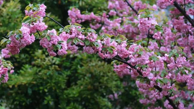 潼关：蝉声起 云雾缭 蓝正浓~
