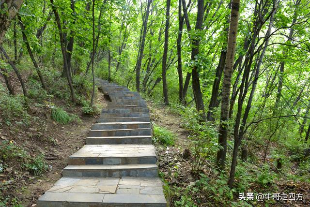 河北百草畔（上）：风动孤石悬险韵，蚁巡深岭蕴生机