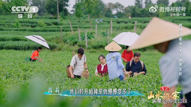 看完《山水间的家》，一人说一个爱上夹关镇的理由！