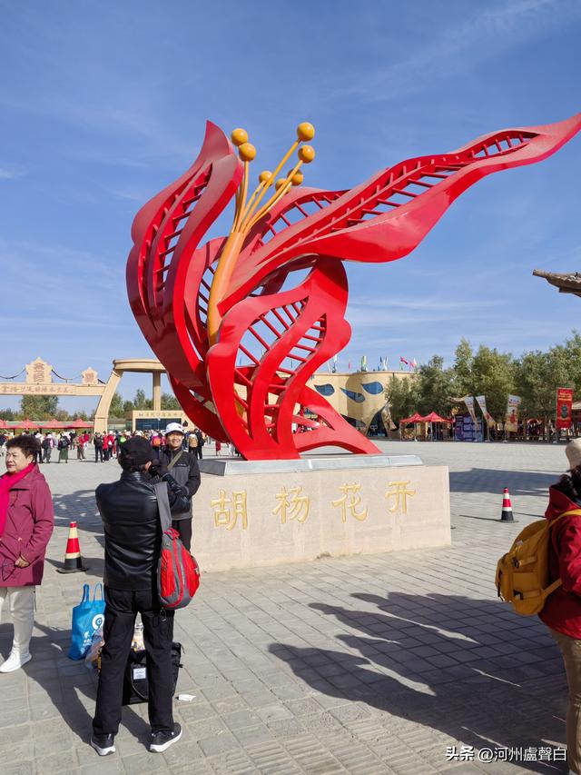 金塔胡杨林