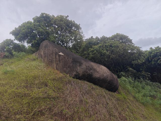 西丽湖国际科教城绿道高清随拍