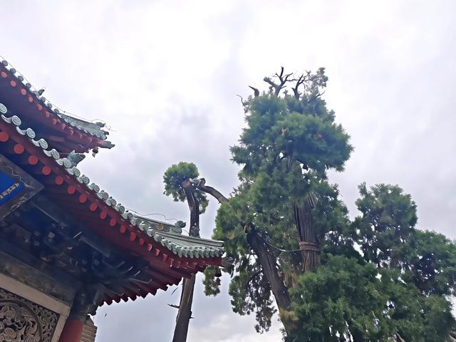 山西及周边随意行之伏羲 16