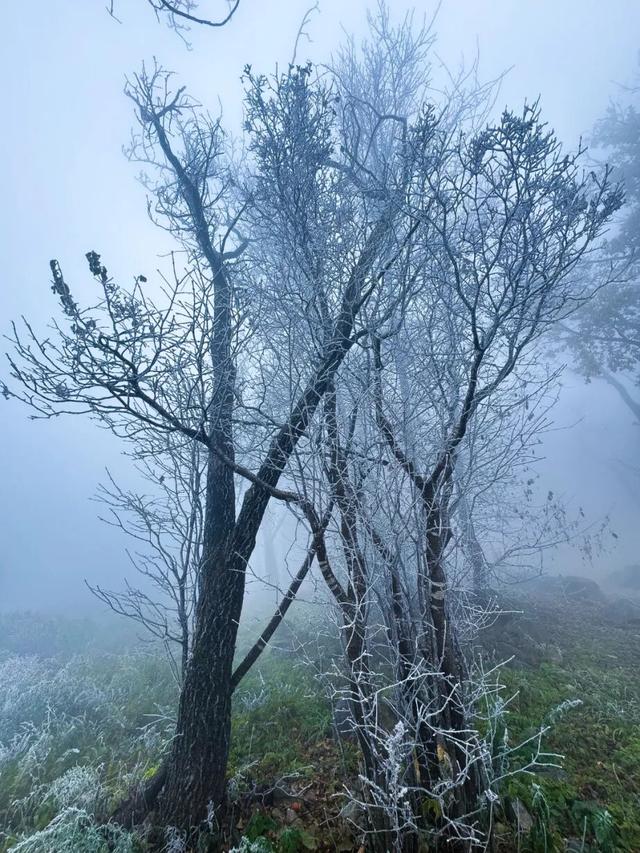 太美啦！吉林市迎来今秋首场高山雾凇