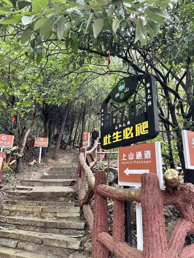 【花开卧龙，心动五一】暖心收官｜短暂的离别，是为了银杏树下更好的重逢