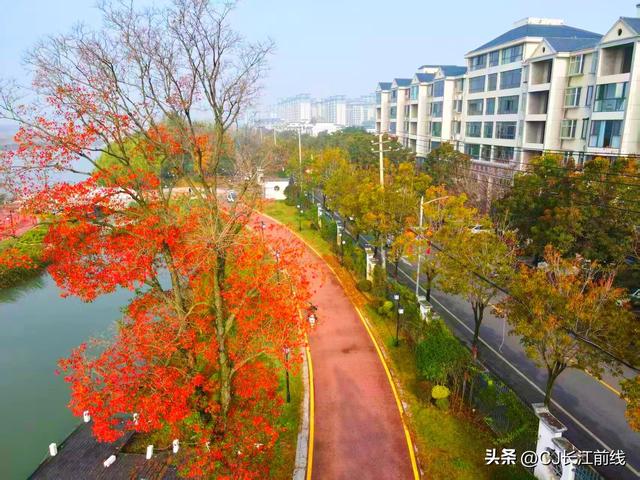 河南淮滨：初冬文化园更艳丽