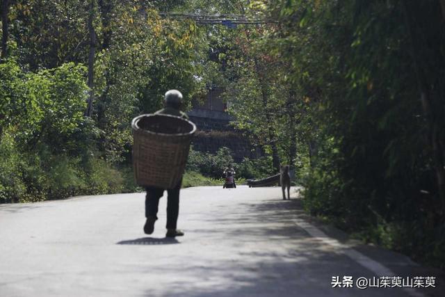 2023年春重庆探亲游（上篇）