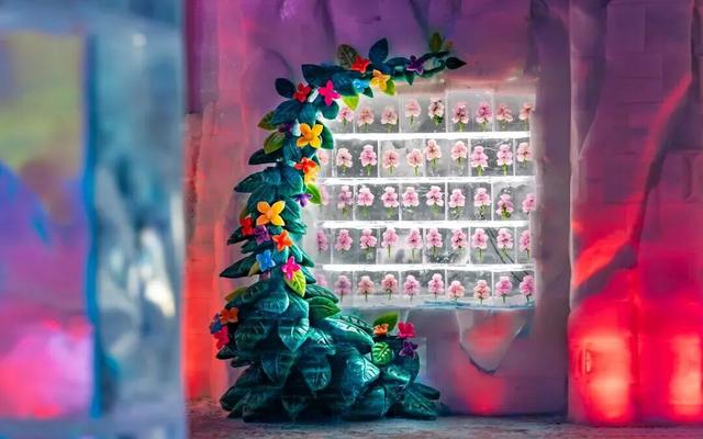 一键收藏！来哈尔滨冰雪大世界过个“好看好吃又好玩”的周末！