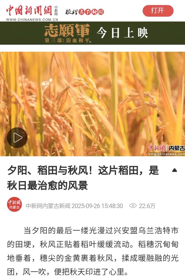 官媒推荐+社交平台刷爆|谁还没被兴安盟的秋“拿捏”？
